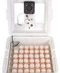 9300 Digital Still Air Egg Incubator With Easy Digital Controls Self Regulating Temperature Built In Hygrometer showing eggs inside