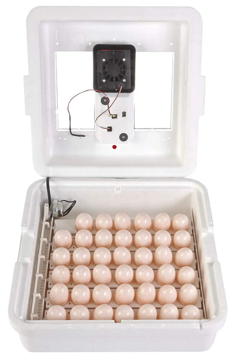 9300 Digital Still Air Egg Incubator With Easy Digital Controls Self Regulating Temperature Built In Hygrometer showing eggs inside