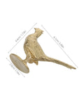 Top Shelf Brass Pheasant Drawer Knob With Rich Golden Finish, 6.1x4.4cm decorative bird hardware.