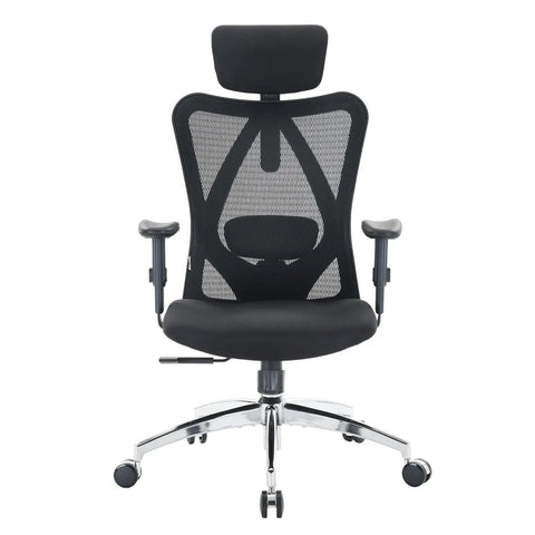 All Day Comfort Ergonomic High Back Mesh Desk Chair with Adjustable Headrest, Lumbar Support, 2D Armrests, Wide Cushioned Seat
