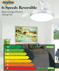 Retractable 42 Inch Smart Ceiling Fan With Lights App Remote Control Quiet DC Motor 6 Speed Modern Ceiling Fan installed