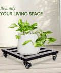 Lockable Heavy Duty Plant Caddy Trolley With 12 Inch Wheels Steel Construction showcasing large potted plant indoors.