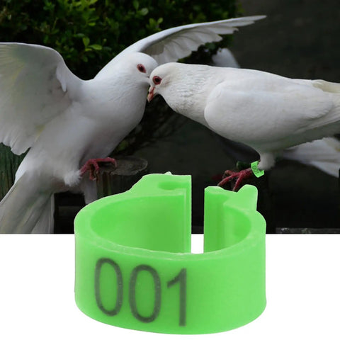 Green Pigeon Leg Bands Set With Numbered Foot Rings for Pigeons in use on white dove, number 001 visible, green ring close-up.