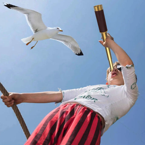 Pirate Monocular Telescope with Treasure Map Pocket Compass Collapsible Spyglass for Party Favors Treasure Hunts Camping Bird Watching and Kid Friendly Adventures Perfect Gift for Young Explorers boy using brass spyglass to watch seagull