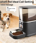 Automatic Cat Feeder With HD Camera And Two Way Video Chat Powered By 5G WiFi For Live Pet Monitoring Plus 5 Liter Food Storage with dog and cat.