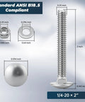 Dimensions of Stainless Steel Carriage Bolt Kit 1/4-20 x 2 Inch with hex nut and flat washer