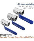 Heavy Duty 304 Stainless Steel Straight Ball Valve Rock Solid Zero Leak Smooth Swivel Handle Snappy Action Built Tough For Water And Gas Lines No Fuss Pipe Flow Control Setup with blue handle and various sizes