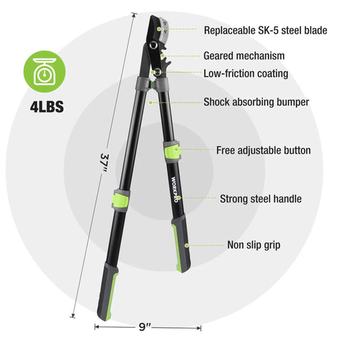 Extendable Anvil Lopper For Gardening With 25 To 37 Inch Reach, Cuts Branches Up To 1.6 Inches, showing features and dimensions