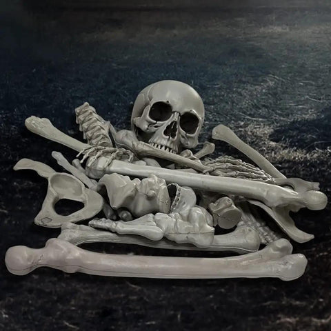 Realistic Skeleton Bones 28 Piece Halloween Prop Set For Creepy Graveyard And Haunted House Decor With Skull Hands Spine Ribs