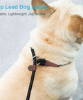 Tan dog wearing No Pull Slip Lead For Dogs 7 Ft Rope Leash 1/4 Inch Width 13 Plus Colors 2 In 1 Leash And Collar on sidewalk.