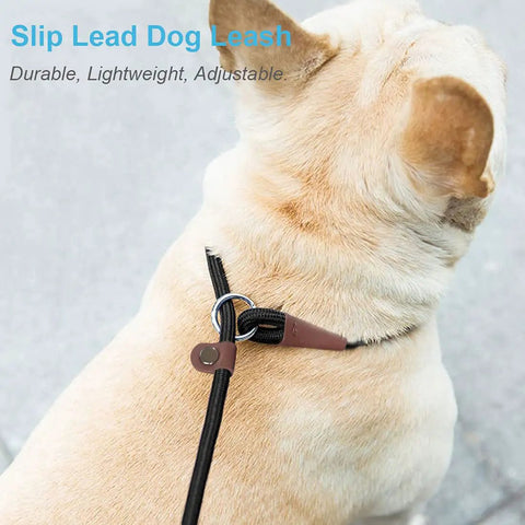 Tan dog wearing No Pull Slip Lead For Dogs 7 Ft Rope Leash 1/4 Inch Width 13 Plus Colors 2 In 1 Leash And Collar on sidewalk.