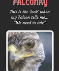 Falcon with intense gaze, captioned "Falconry: This is the 'look' when my Falcon tells me... 'We need to talk'" on Falconry Themed Lined Notebook Journal 120 Pages 6x9 Inches For Creative Writing Daily Planning And List Making A Totally Cool Gift For Falcon Fans Bird Lovers And Daydreamers
