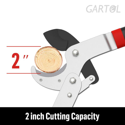Close-up of Workhorse 29 Inch Anvil Lopper Pruner With Spare SK5 Blade Compound Action, cutting 2 inch branch, ergonomic non-slip handles