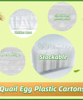 Clear PVC 50 Pack Quail Egg Cartons With 12 Grid Trays Each For Storing Quail Pheasant And Pigeon Eggs, Lightweight Design