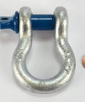 2 Ton D Ring Bow Shackle With Screw Pin Clevis Half Inch Pin Forged Steel Hot Dip Galvanized Finish WLL 2 Tons next to a penny