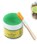 DIY Friendly Tree Pruning Sealer Paste With Brush, 100g open jar with brush for pruning and grafting