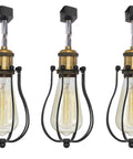 Vintage Wire Cage Semi Track Lighting Heads Black Industrial Rail Light Fixture 3-Pack Dimmable LED Compatible