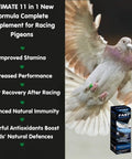 Fast Pigeon Energy Boosting Liquid Supplement With Vitamins And Minerals For Birds 60 Ml That Amped Up Speed Stamina Recovery