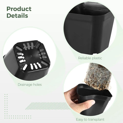 Close-up of 120 Pcs Small Square Plastic Nursery Pots 4 Inch Seedling Plant Pots With Drainage Holes and plant being transplanted.