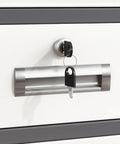 Close-up of lockable metal file cabinet with adjustable shelves 2 drawer steel storage for home office sleek white design