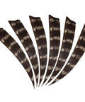 50 Pack Pro Grade Turkey Feather Fletching For Archery, Real Arrow Vanes In 3 4 5 Inch Sizes, Right Wing And Left Wing Shield Cut