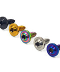 Titanium Self Tapping Screws M4 And M5 With Torx Head in multiple colors, black coated decorative fasteners, Grade 5 6AL 4V Titanium.
