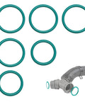 Six teal rubber o-rings of varying sizes, with a gray automotive radiator hose connector.