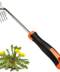 Five Teeth Weed Puller Tool With Rubber Handle Upgraded Stainless Steel Hand Weeder For Garden And Yard Pro Root Remover next to dandelion