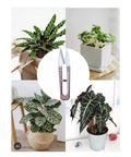 3 Pack 4.1 Inch Bonsai Pruning Scissors With Sharp Blade And Self Opening Spring, displayed among potted plants