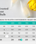 LED Frosted Filament CA10 Bulb with Lumens to Watts Conversion Chart and Yellow Flower