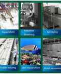 Collage showcasing applications like aquaculture, industrial breathing, and air drying with a high-pressure regenerative blower.