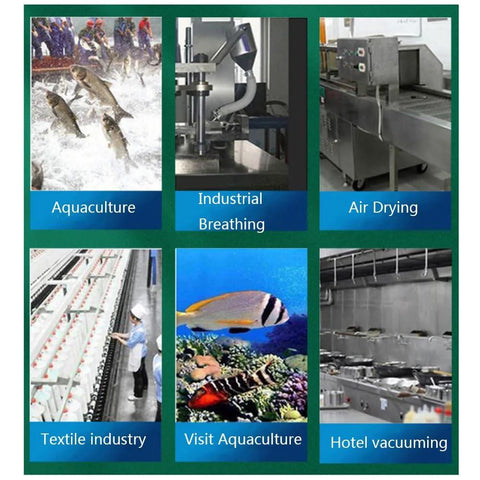 Collage showcasing applications like aquaculture, industrial breathing, and air drying with a high-pressure regenerative blower.