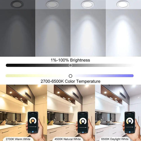 Brightness and color temperature settings of Plug-And-Play 2 Inch Smart Recessed LED Downlight Kit With WiFi Control