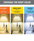 Comparison of lamp lighting in soft white, bright white, and daylight, highlighting LED Light Bulb A19 60W Equivalent 5000K Daylight Dimmable.