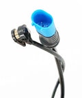 Brake wear sensor with blue plastic connector and wiring, Holstein 2BWS0444 automotive part