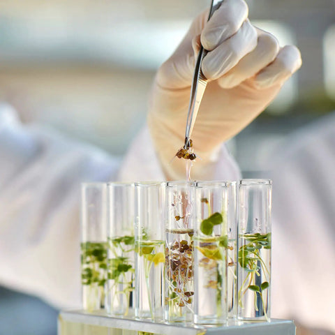 18 Pack Glass Test Tubes With Cork Stoppers 25x120mm Flat Bottom Borosilicate Lab Grade Heat Resistant Science Tubes For Experiments And Home Lab Use 45ml Capacity, gloved hand with seedlings