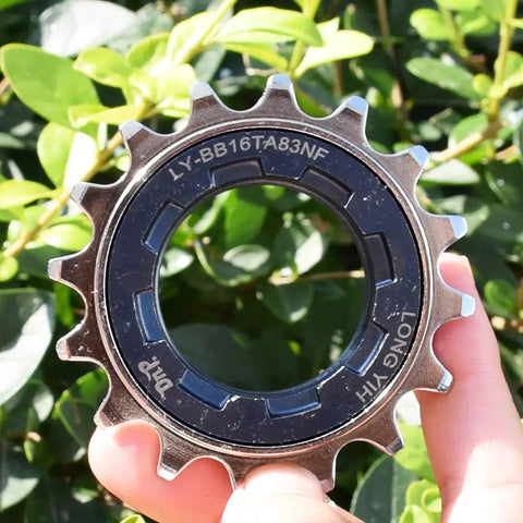 Hand holding Rippin BMX Freewheel 16T With 30 Points Of Engagement, Threaded B1.37x24TPI, 34mm inner diameter view