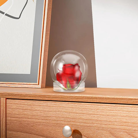 Clear 4 Inch Snow Globe Kit With Fillable Plastic Balls And Screw Cap For Easy Fun Craft Projects And Home Decor on a shelf