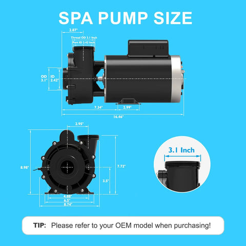 3Hp Two Speed Hot Tub Spa Pump Motor Replacement 230V 56 Frame Two Inch Port dimensions and specifications with detailed measurements.
