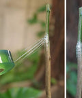 Applying Grafting Tape For Fruit Trees, 3 Pack Stretchable Floristry Film In 3 Colors on tree branch for grafting