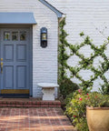 Blue front door with brick steps and ivy on white brick wall