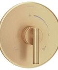 Dia Shower Valve Trim Kit In Brushed Bronze With ADA Compliant Adjustable Brass Lever Handle And Escutcheon For Temptrol Pressure Balancing Valve 261XBODY Valve Not Included Easy Install