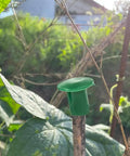 Premium Garden Cane Caps For Bamboo Sticks That Totally Block Sharp Ends And Keep Hands Safe Plus Eyes Protected From Accidents When Working In The Yard. green PVC cap on 8-12mm bamboo stick in garden