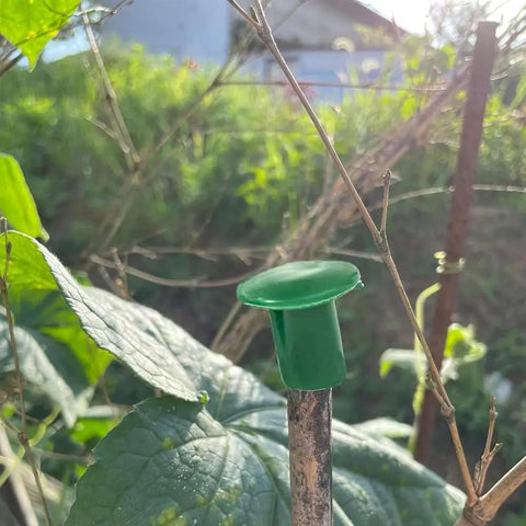 Premium Garden Cane Caps For Bamboo Sticks That Totally Block Sharp Ends And Keep Hands Safe Plus Eyes Protected From Accidents When Working In The Yard. green PVC cap on 8-12mm bamboo stick in garden