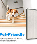 Dog near MA 40 Replacement Filter 3 In 1 H13 Main Filter And Activated Carbon For MA 40 Air Purifier Direct Fit 2 Pack ME 40 Part Pre Filter