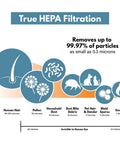 Infographic showing HEPA filtration details for Replacement Filter Value Combo Pack Fits HPA Series Air Purifiers Replacing HRF-ARVP