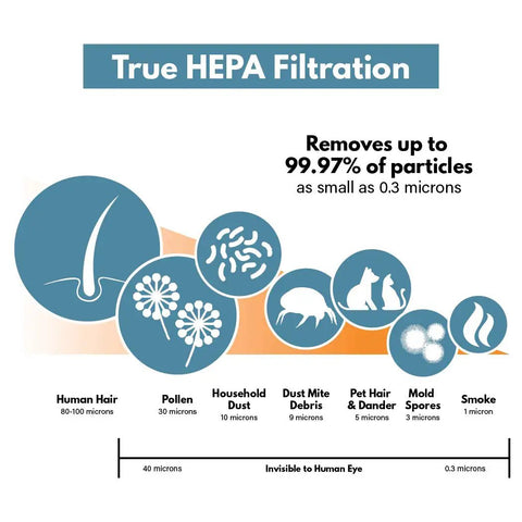 Illustration of Replacement Air Filter For Holmes AER1 HAPF300 HAPF30 And Bionaire BAP536 BAP516 2 Pack showing particle removal efficiency.