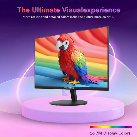 24 Inch FHD Office Monitor With 100Hz Refresh Rate And 1ms Response Time, AMD FreeSync For Tear Free Gameplay, Frameless Design, Built In Speakers, Eye Care Tech For Long Work Sessions And Casual Gaming displaying vibrant parrot image