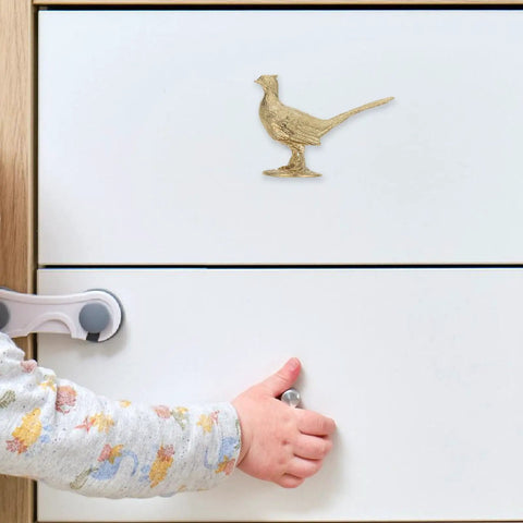 Top Shelf Brass Pheasant Drawer Knob With Rich Golden Finish on white cabinet, child’s hand pulling drawer handle.