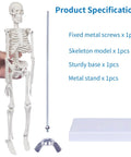 17.7 Inch Hands On Human Skeleton Model For Anatomy With Movable Shoulders Elbows Wrists Knees Ankles Articulated Bone Structure Realistic Display Stand Ideal For Teaching Learning And Classroom Demonstrations with components shown